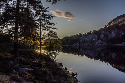 Scenic view of lake in forest against sky at sunset