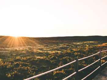 Scenic view of landscape against clear sky during sunset