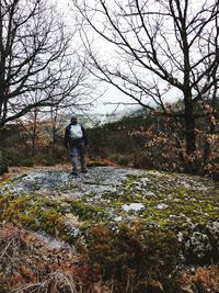 Rear view of man standing by bare trees during winter