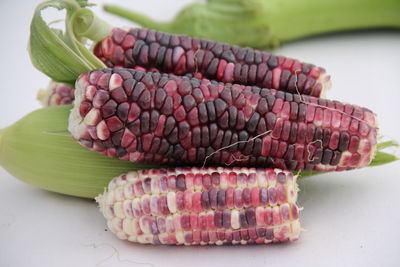 Close-up of bloody butcher corns on table