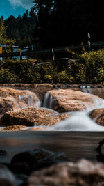 Scenic view of waterfall against trees