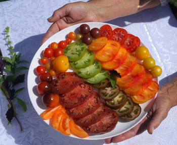 High angle view of person holding fruits