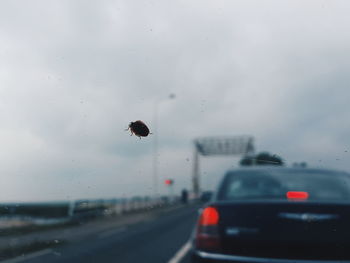 Close-up of wet car windshield during rainy season