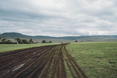 Scenic view of agricultural field against sky