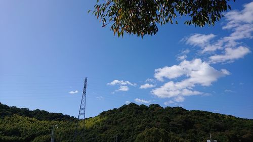 Low angle view of tree against sky