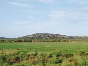 Scenic view of landscape against sky