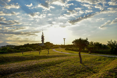 Scenic view of field against sky