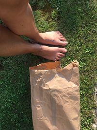 Midsection of person holding leaf on field