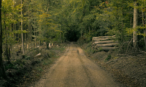 Dirt road amidst trees in forest