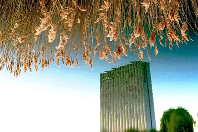 Low angle view of skyscrapers