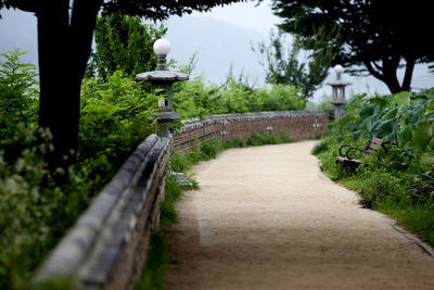 Footbridge over trees