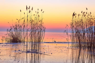 Scenic view of lake against sky during sunset