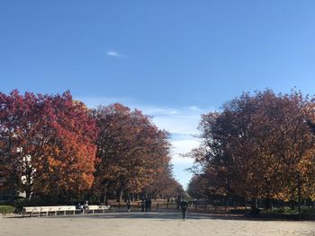 Trees and plants in park during autumn against sky