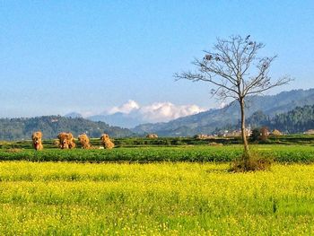 Scenic view of landscape against cloudy sky