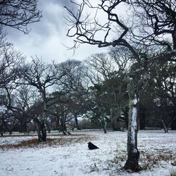 Scenic view of snow covered landscape