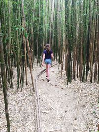 Full length rear view of girl walking amidst bamboo trees in forest