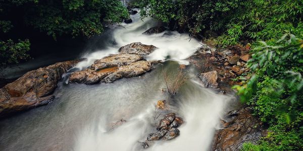 Water flowing through rocks in forest