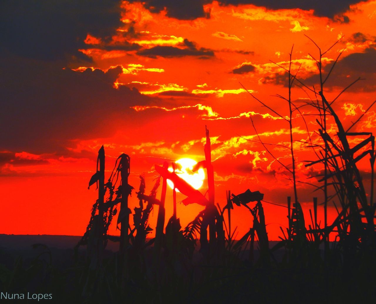 SCENIC VIEW OF SUNSET