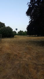 View of hot air balloon