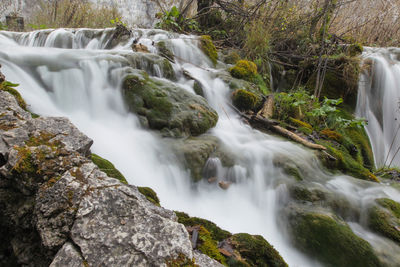 Scenic view of waterfall in forest