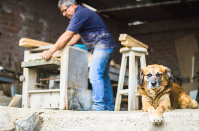 Man working in workshop with dog