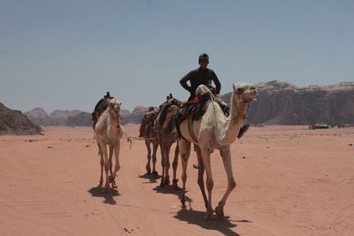 Man riding on camel at desert