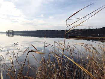 Scenic view of lake against cloudy sky