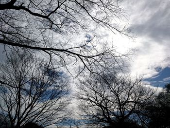 Low angle view of bare tree against sky