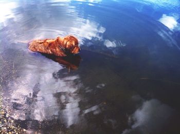 Close-up of water