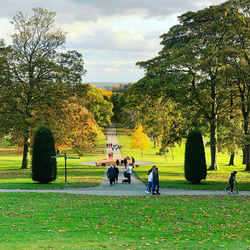 People walking in park during autumn