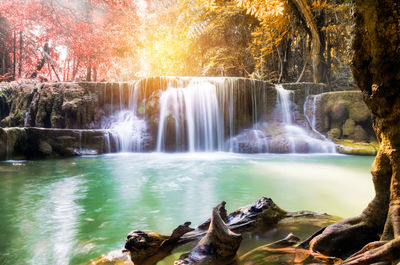 Scenic view of waterfall in forest