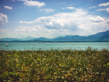 Scenic view of sea against sky