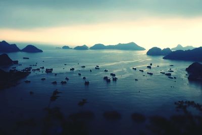 Swans swimming in sea against sky during sunset