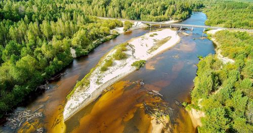 High angle view of river amidst trees