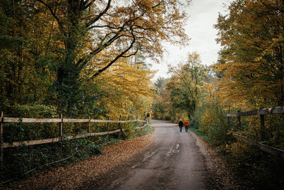 Rear view of people walking on road amidst trees during autumn