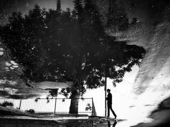 Woman standing on tree trunk