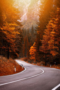 Road passing through forest during autumn