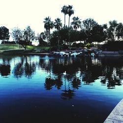 Silhouette palm trees by lake against sky