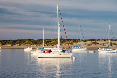 Sailboats moored in sea against sky