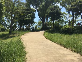 Footpath amidst trees on field