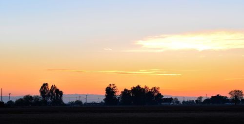 Silhouette trees on landscape against sky at sunset