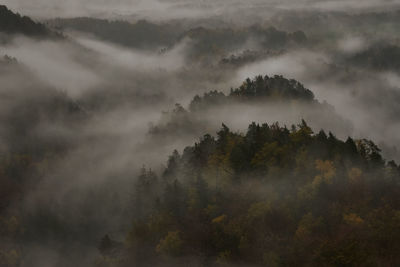 Scenic view of tree mountains against sky