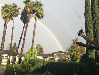 Scenic view of rainbow over trees against sky