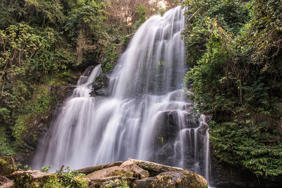 Scenic view of waterfall in forest