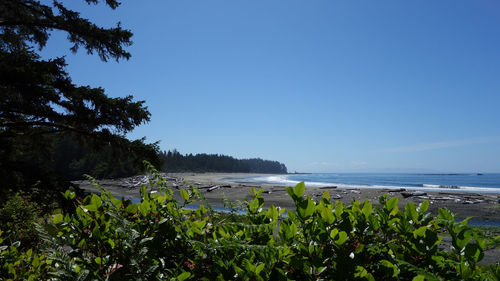 Scenic view of sea against clear blue sky