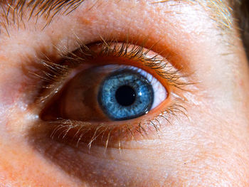 Close-up of human eye