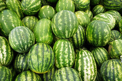 Full frame shot of fruits for sale in market