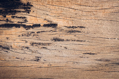 Full frame shot of old wooden plank