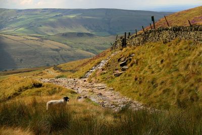 Scenic view of landscape