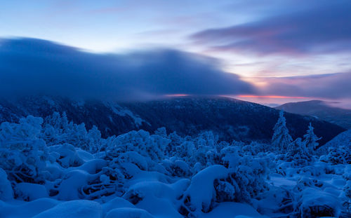 cold temperature